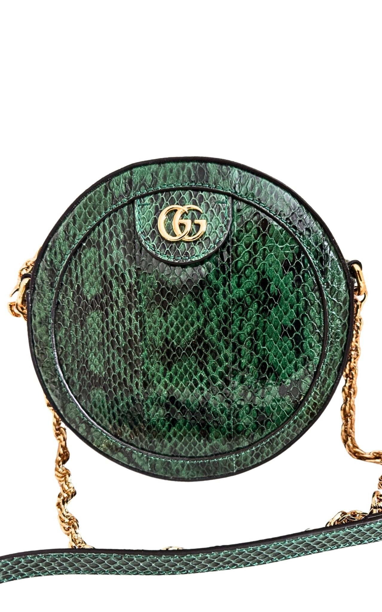 Gucci GG Marmont Exotic Leather Bag - Runway Catalog
