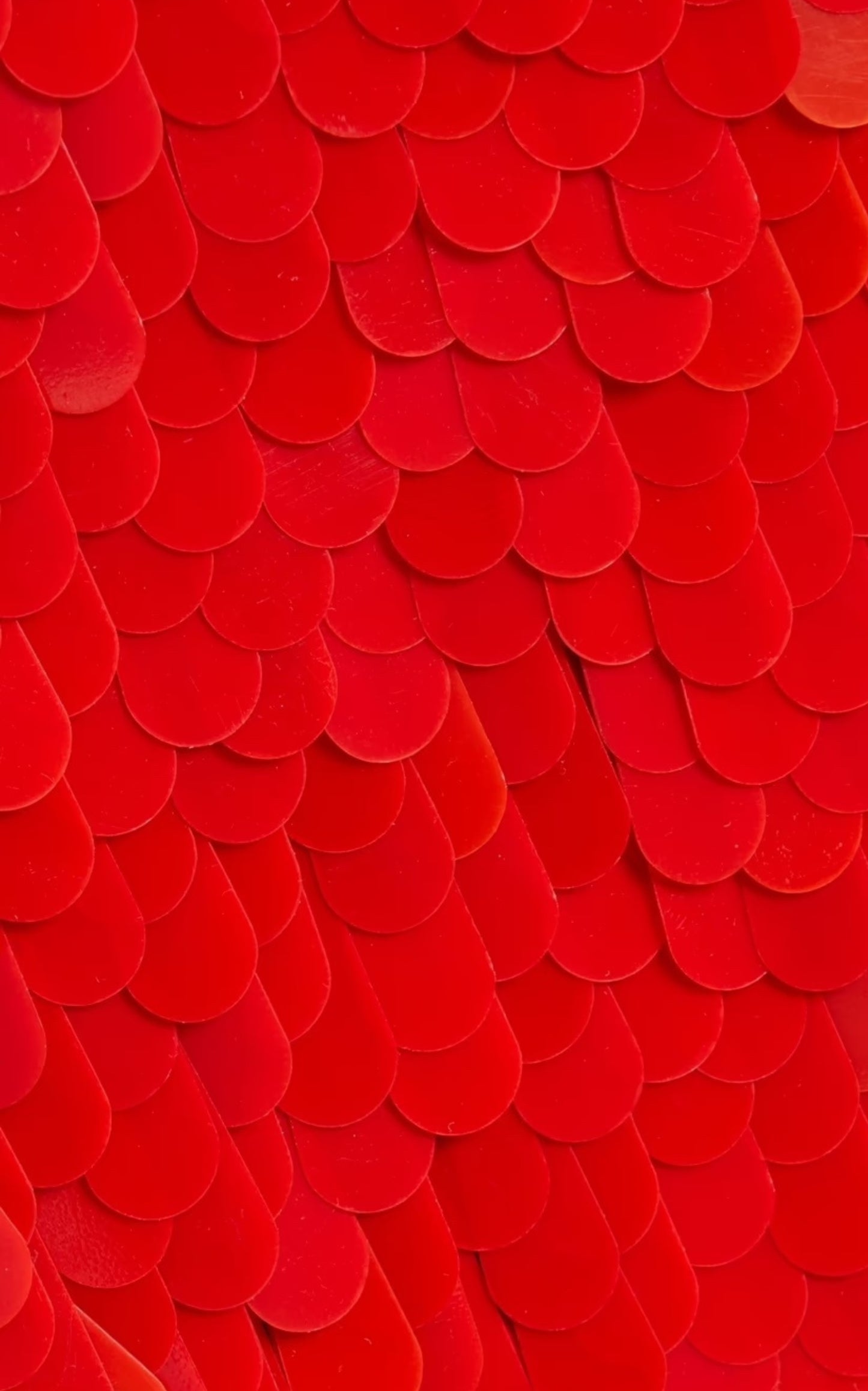 Sequinned Tulle Midi Skirt