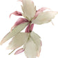 Cotton and Silk Flower White Brooch