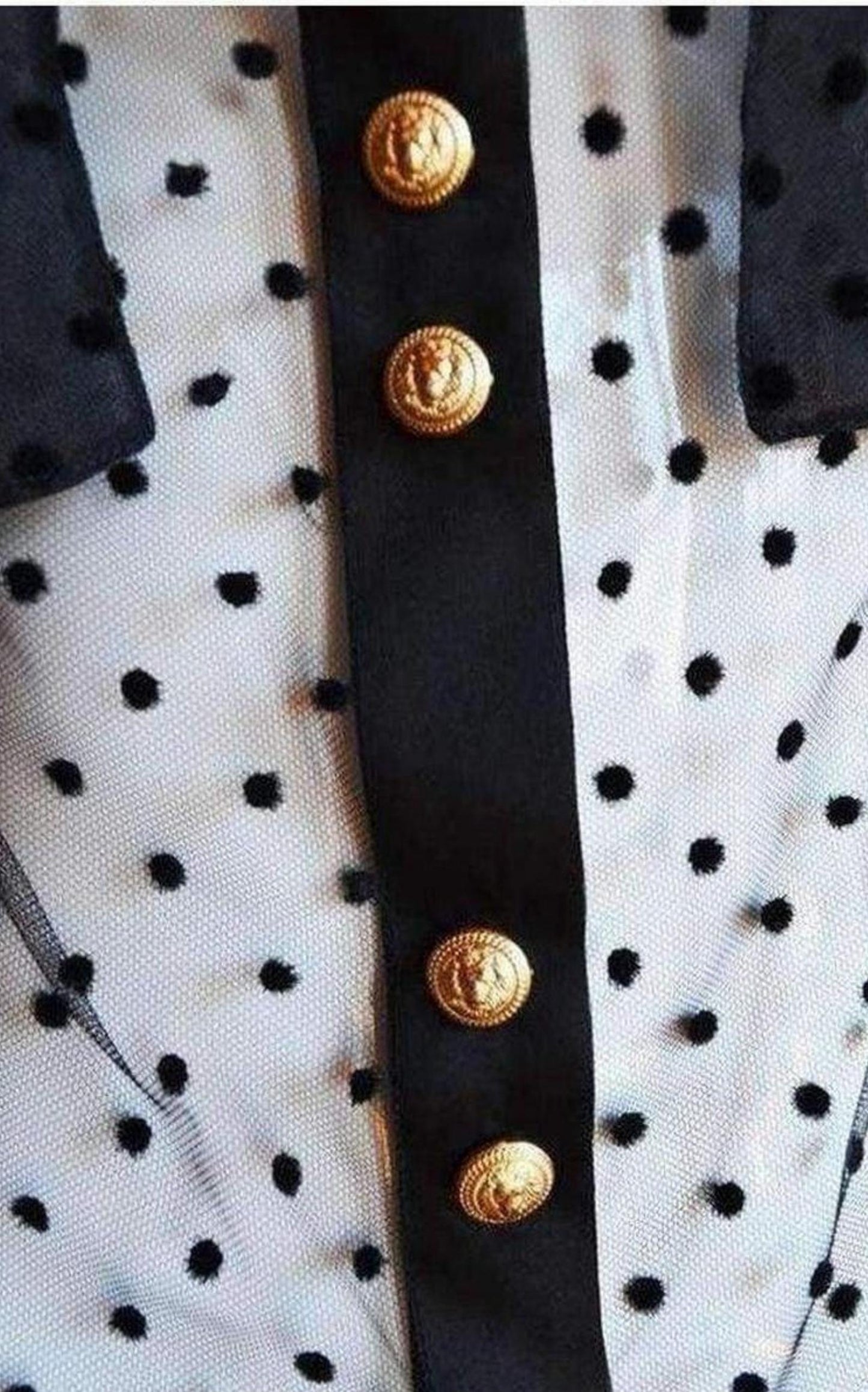  BalmainLong Sleeve Black Polka Dot Silk Shirt - Runway Catalog