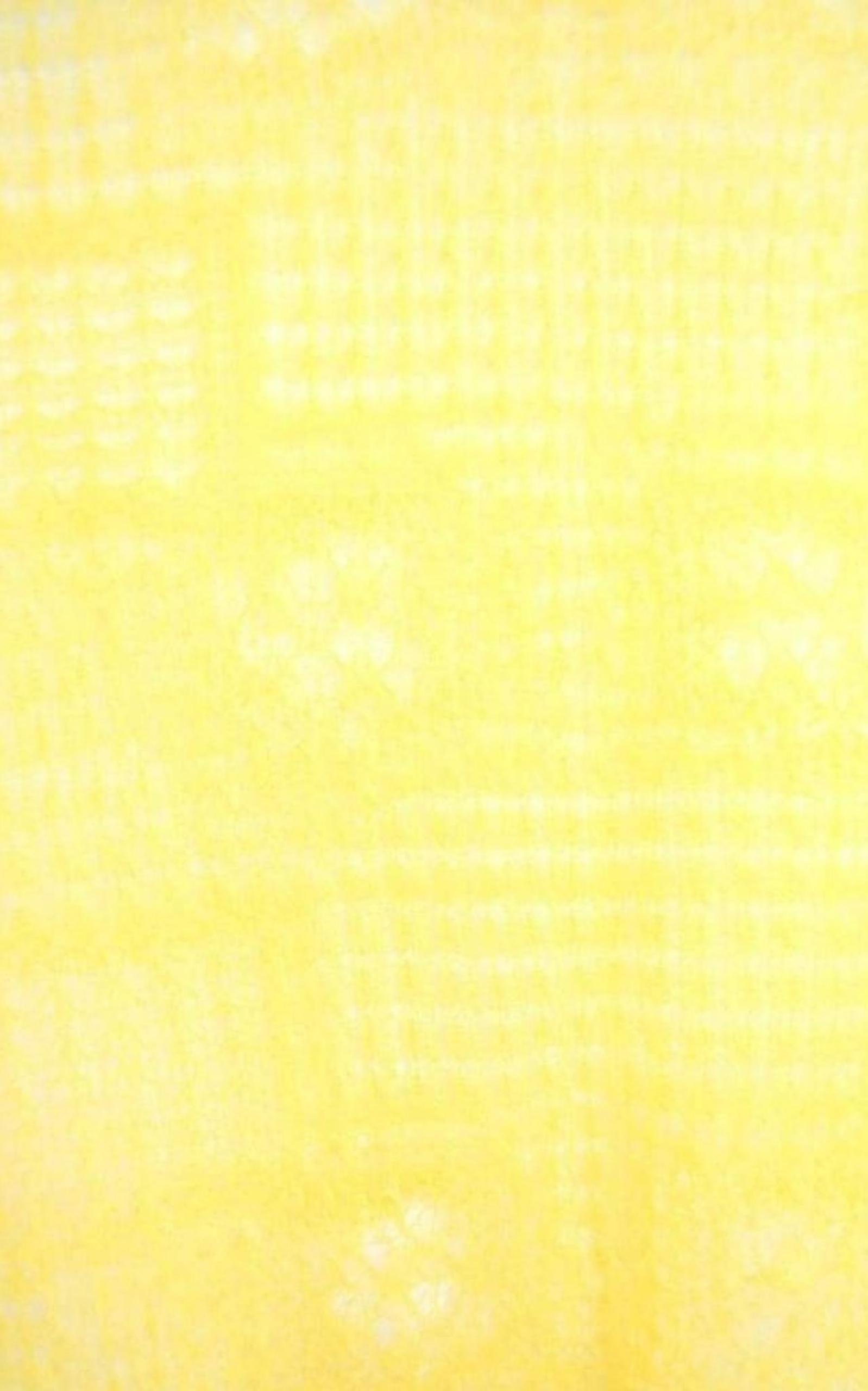  Nina RicciYellow Silk Sheer Fine Knit T-Shirt - Runway Catalog