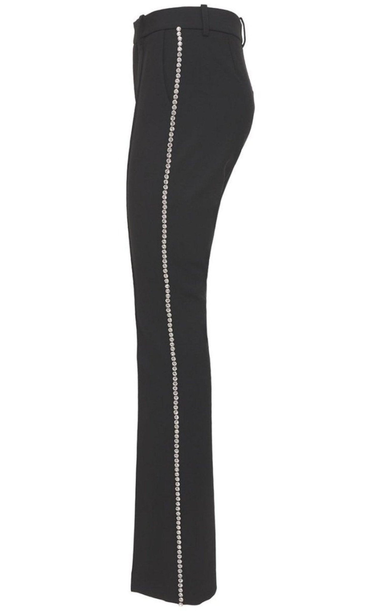 Area Fitted Jeweled Pants - Runway Catalog
