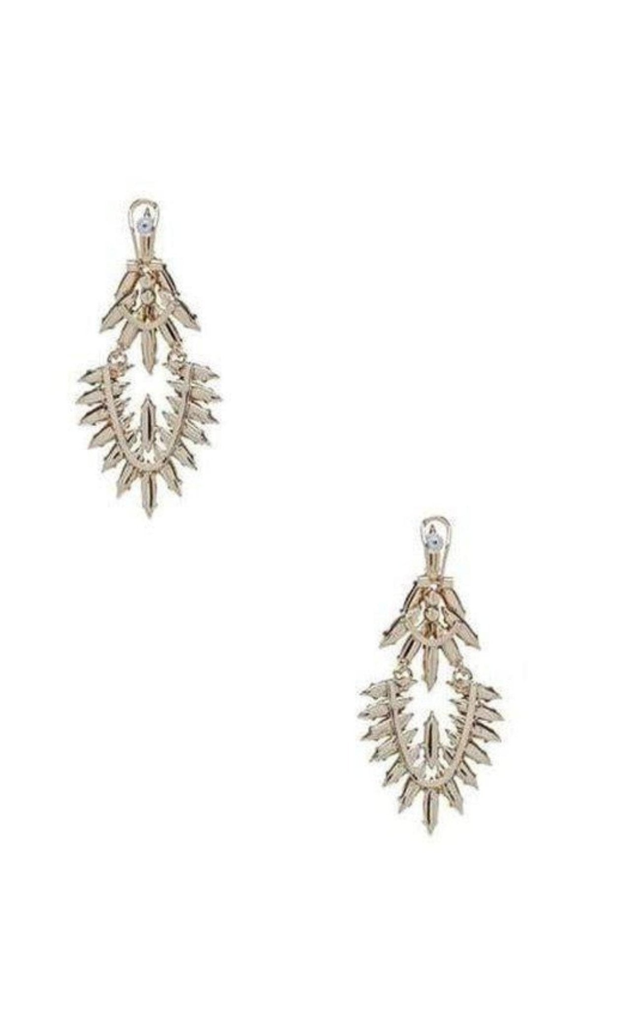 BCBGMAXAZRIA Ombre Stone Earrings - Runway Catalog