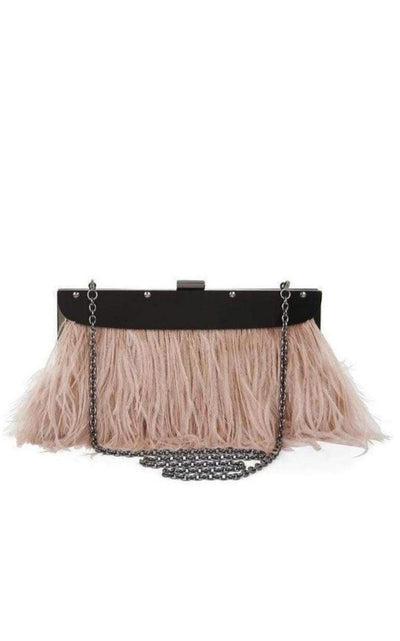 BCBGMAXAZRIA Portia Feather - Trim Lucite Clutch - Runway Catalog