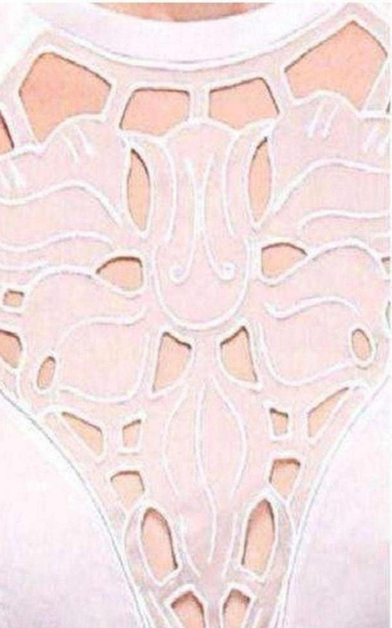 Carven Cutout Cotton Organza Dress - Runway Catalog