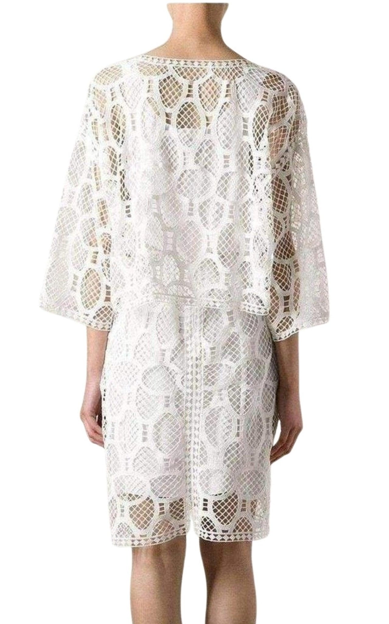 Chloe Crochet Lace Cotton Dress - Runway Catalog