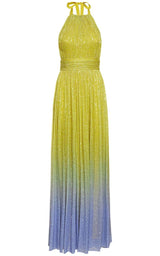 Ombre Sequined Chiffon Gown Elie Saab