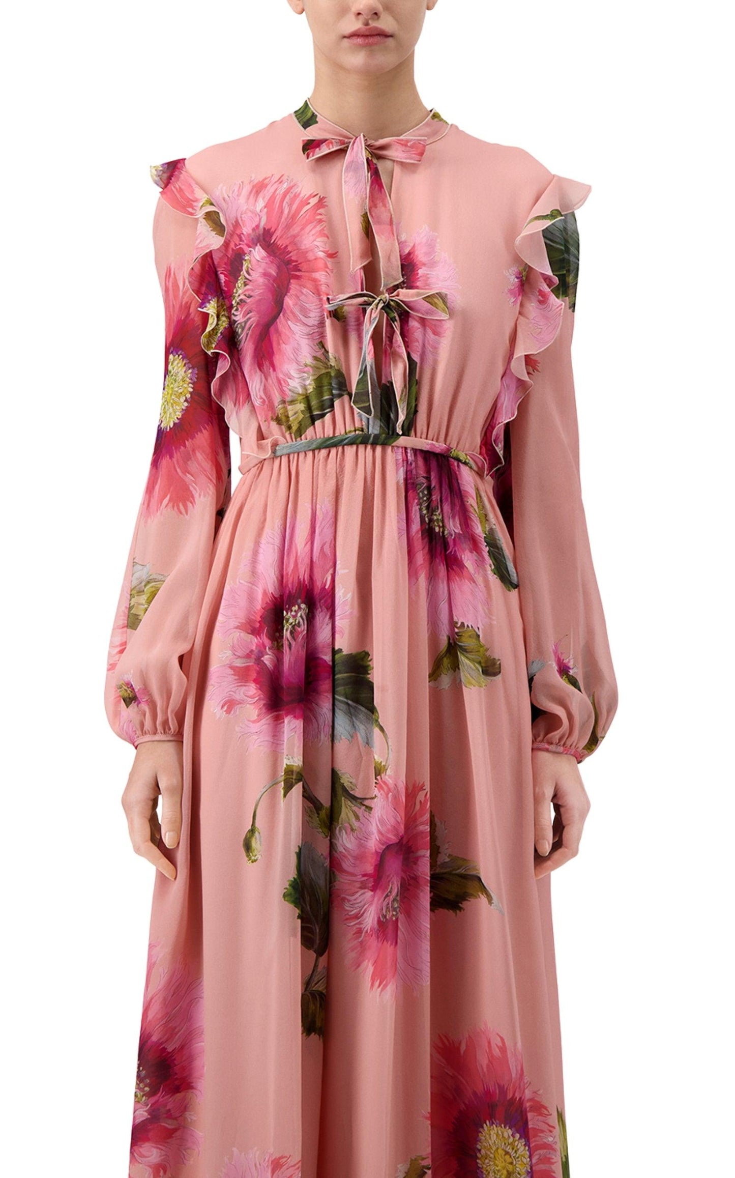 Botanic Blow Up-print Silk Georgette Gown Giambattista Valli