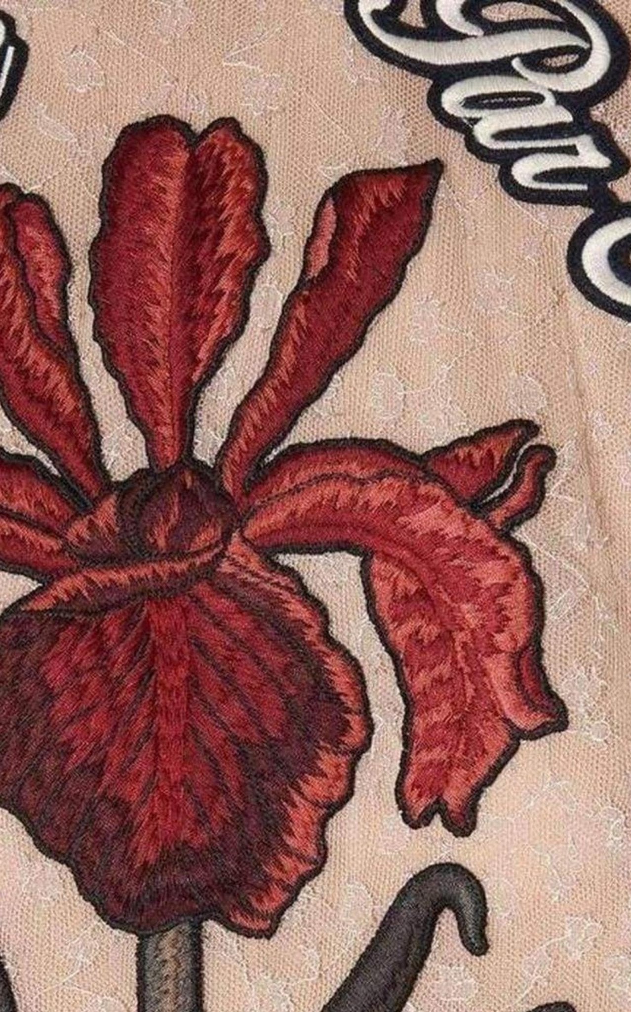 Gucci Nude Lace Embroidered Dress - Runway Catalog