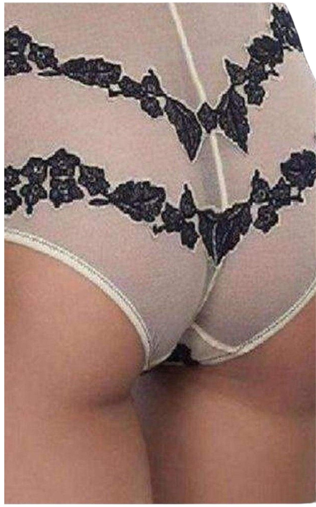 Jean Paul Gaultier La Perla by Marin High Waisted Tulle Briefs - Runway Catalog