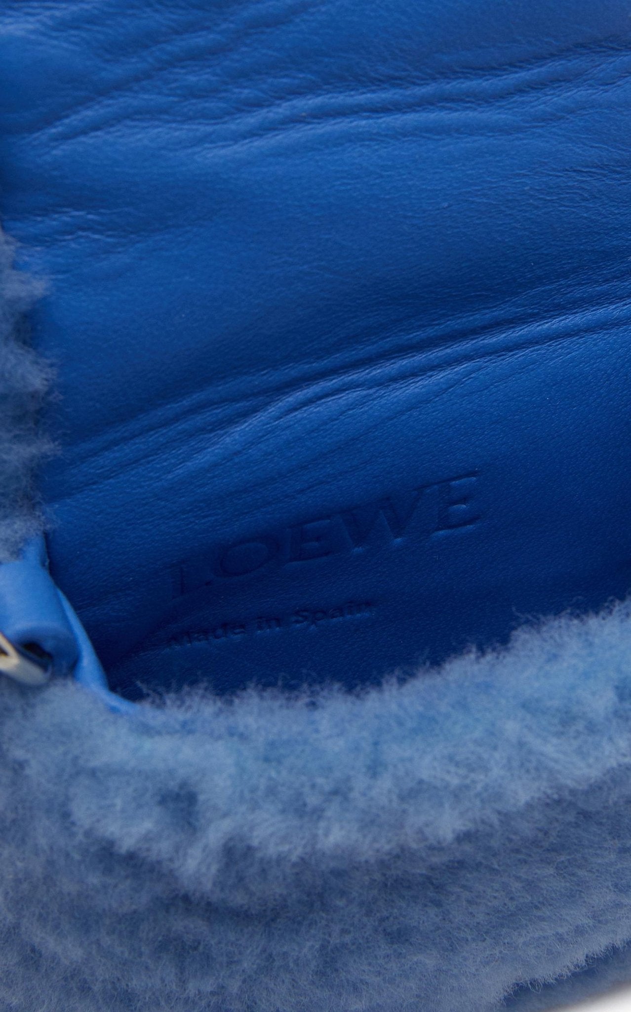 Loewe Goya Down Shearling Crossbody Bag - Runway Catalog