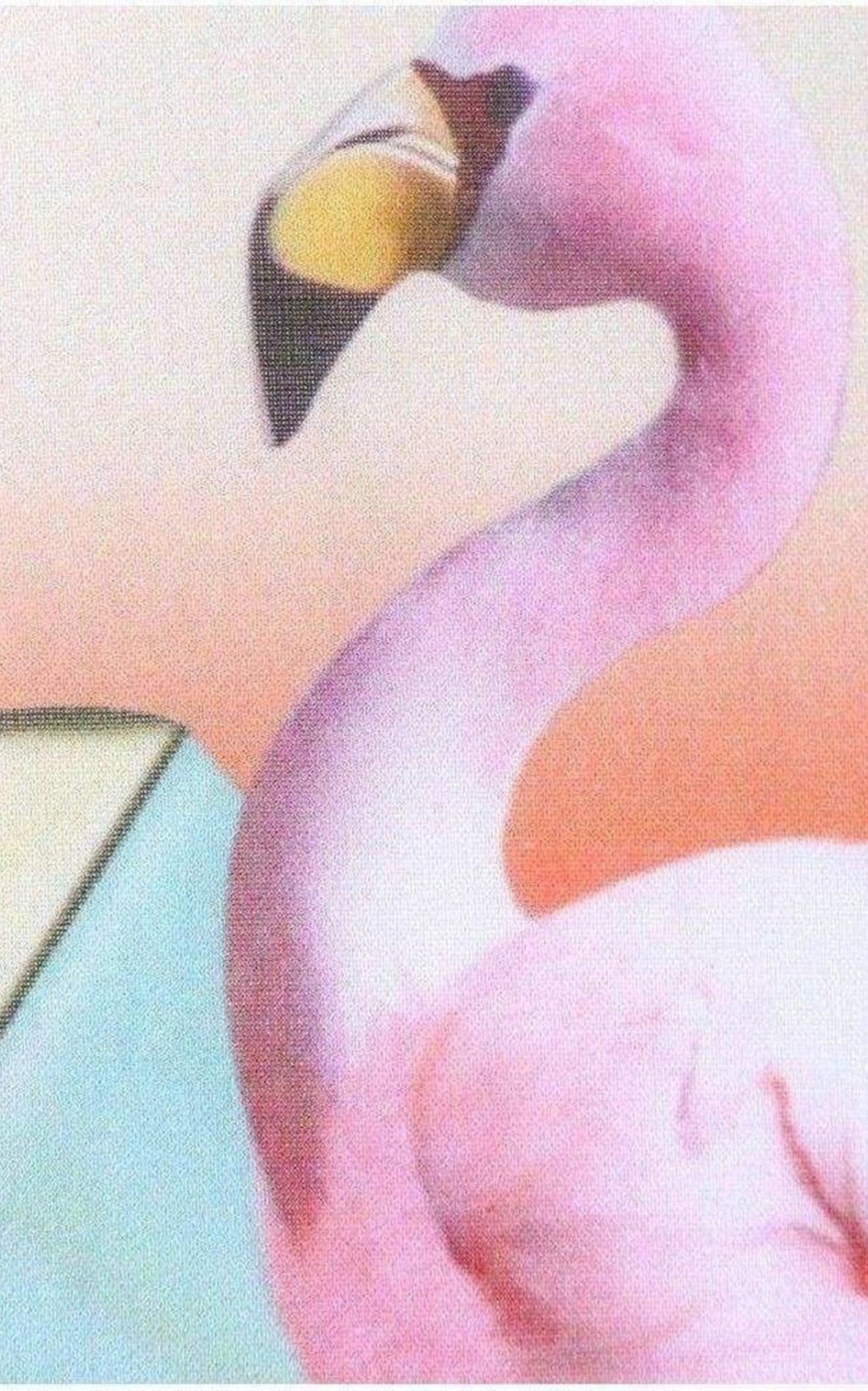 Mary Katrantzou Cotton Flamenco Print Shirt - Runway Catalog