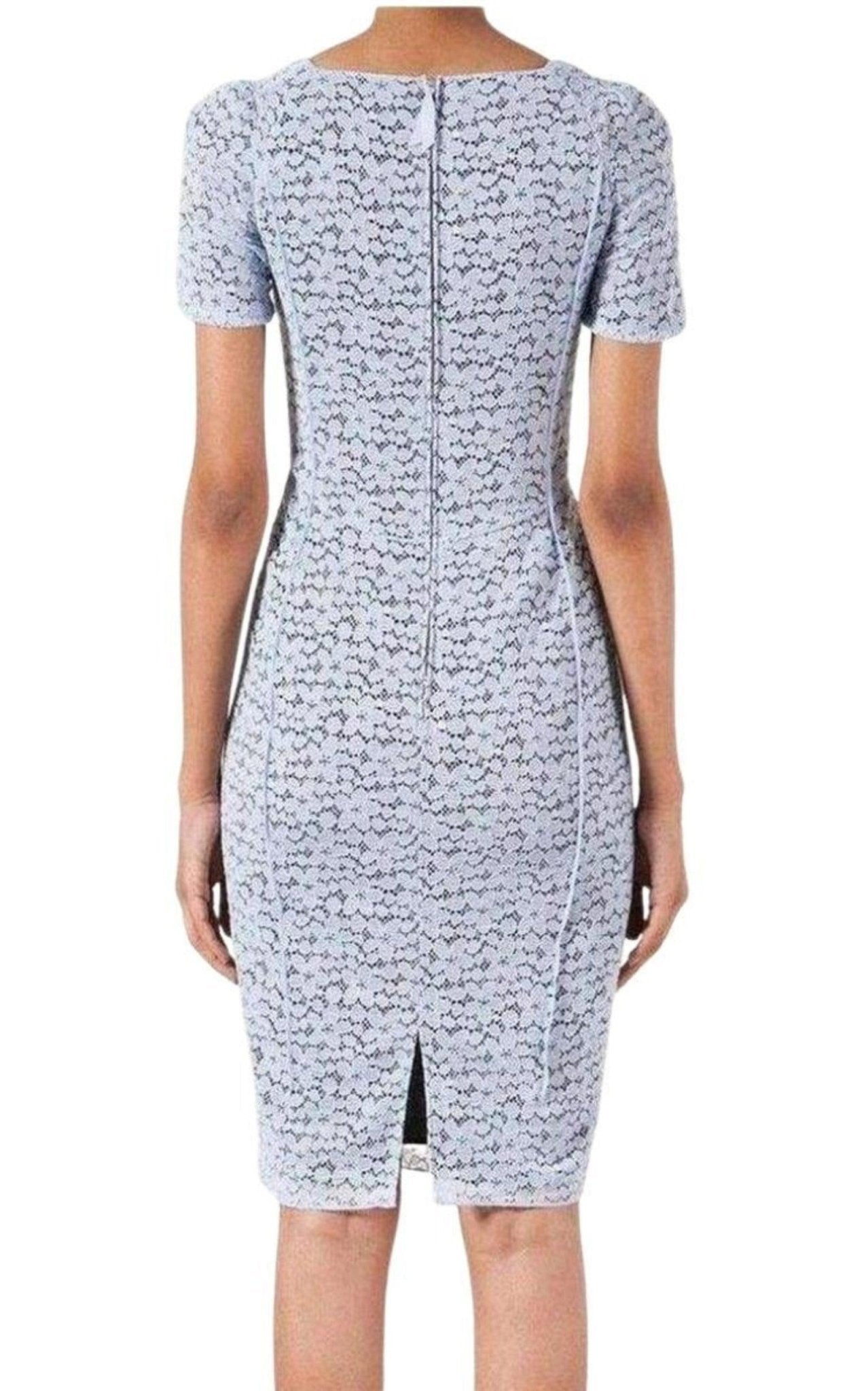 Nina Ricci Lace Elbow Sleeve Fitted Dress - Runway Catalog